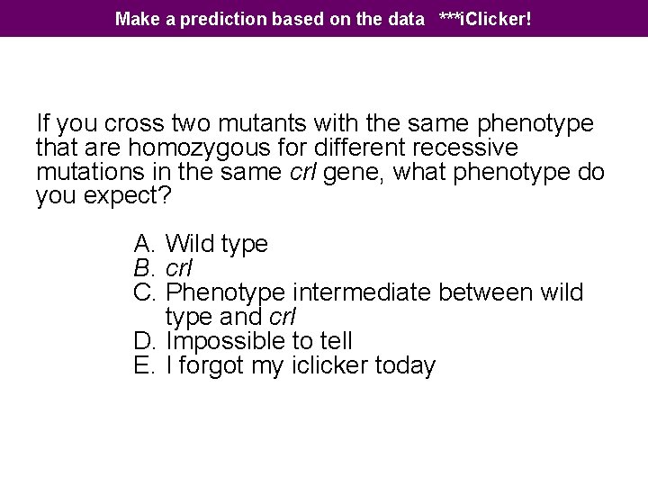 Make a prediction based on the data ***i. Clicker! If you cross two mutants