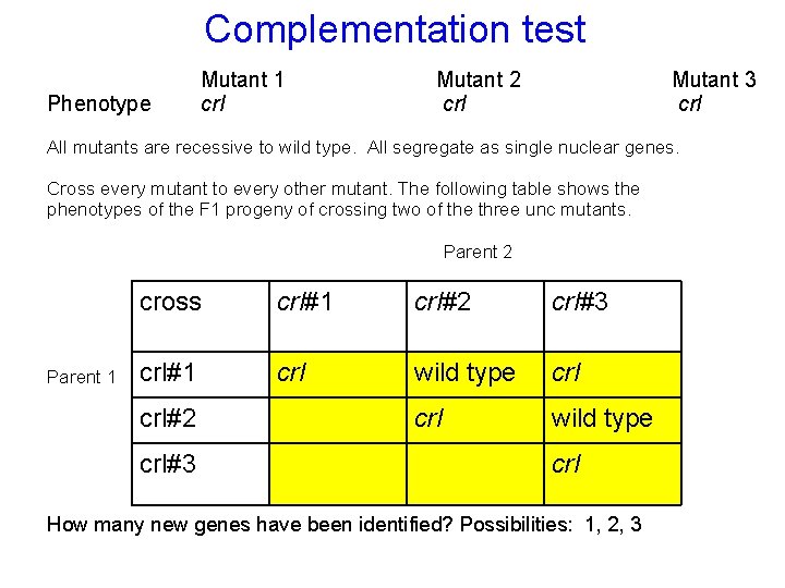 Complementation test Phenotype Mutant 1 crl Mutant 2 crl Mutant 3 crl All mutants