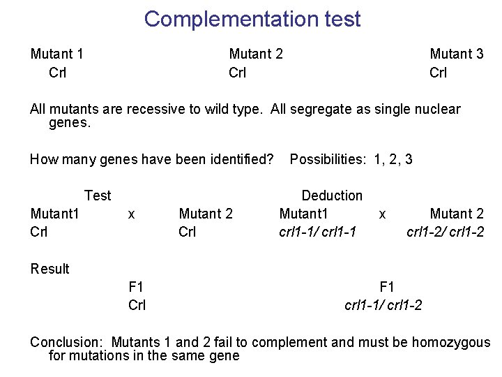 Complementation test Mutant 1 Crl Mutant 2 Crl Mutant 3 Crl All mutants are