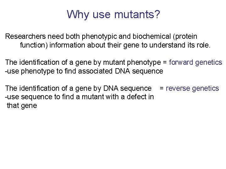 Why use mutants? Researchers need both phenotypic and biochemical (protein function) information about their