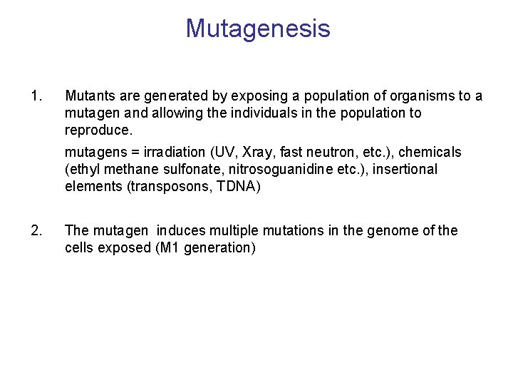 Mutagenesis 1. Mutants are generated by exposing a population of organisms to a mutagen