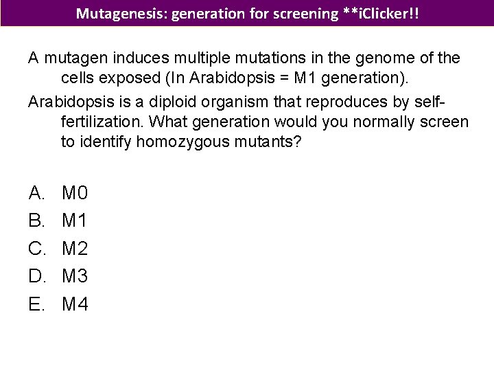 Mutagenesis: generation for screening **i. Clicker!! A mutagen induces multiple mutations in the genome