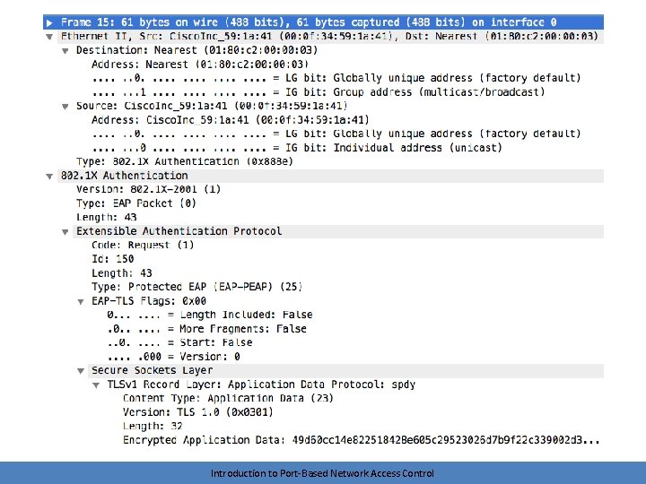 Introduction to Port-Based Network Access Control 
