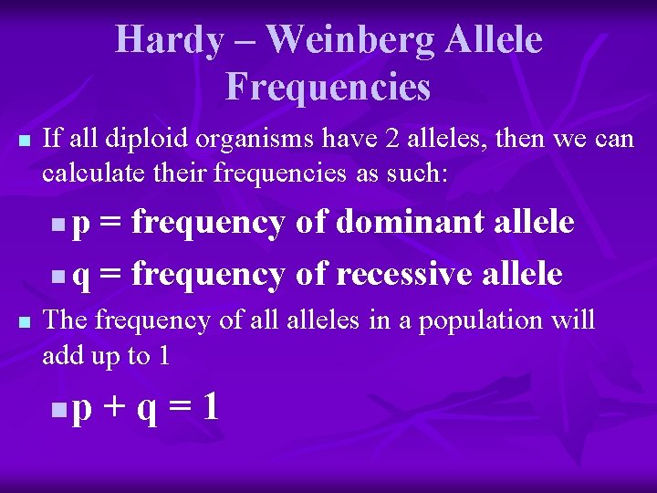 Hardy – Weinberg Allele Frequencies n If all diploid organisms have 2 alleles, then