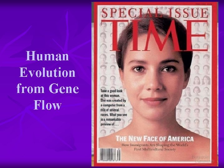 Human Evolution from Gene Flow 