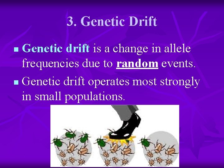 3. Genetic Drift Genetic drift is a change in allele frequencies due to random