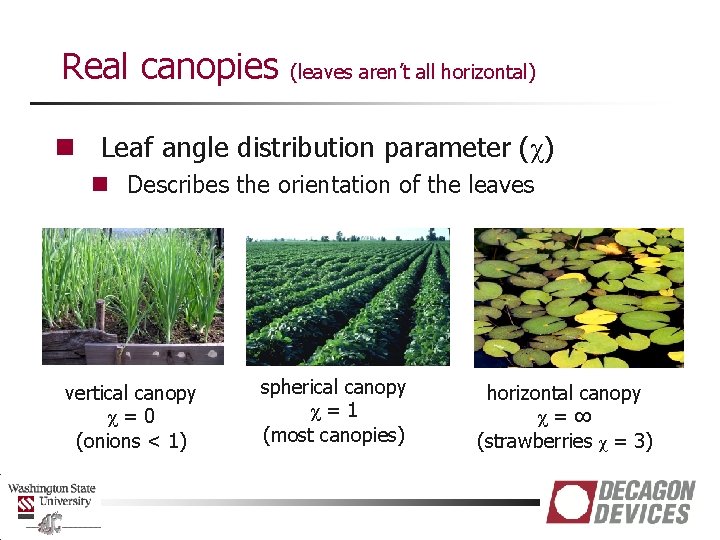 Real canopies (leaves aren’t all horizontal) n Leaf angle distribution parameter (χ) n Describes
