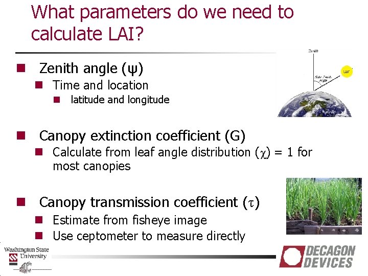 What parameters do we need to calculate LAI? n Zenith angle (ψ) n Time