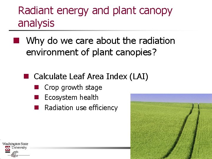 Radiant energy and plant canopy analysis n Why do we care about the radiation