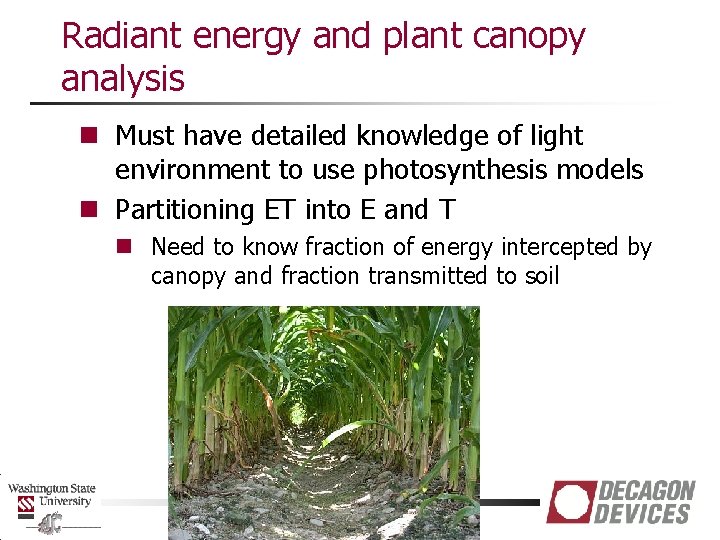 Radiant energy and plant canopy analysis n Must have detailed knowledge of light environment