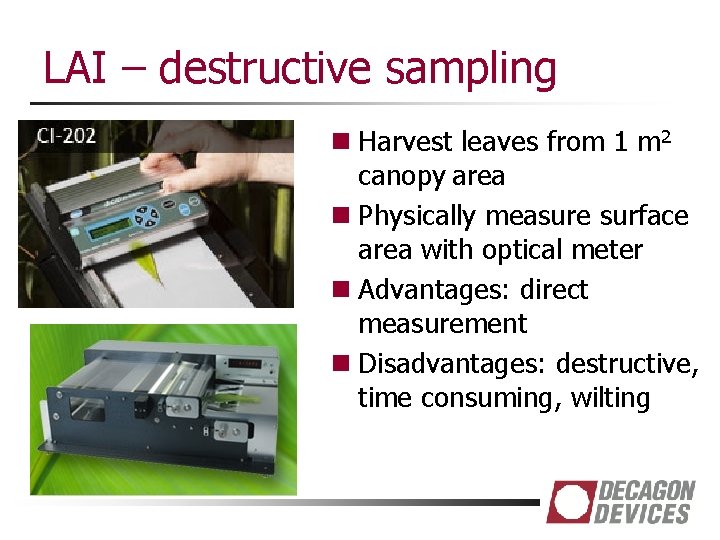 LAI – destructive sampling n Harvest leaves from 1 m 2 canopy area n
