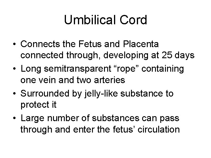 Umbilical Cord • Connects the Fetus and Placenta connected through, developing at 25 days