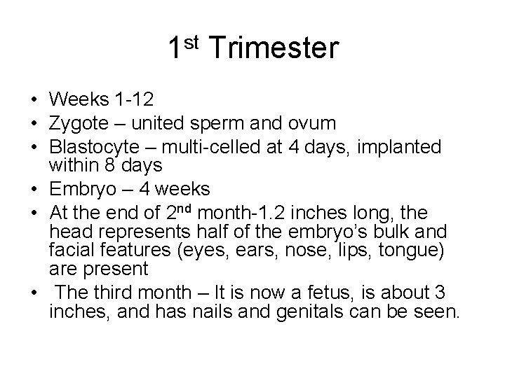 1 st Trimester • Weeks 1 -12 • Zygote – united sperm and ovum