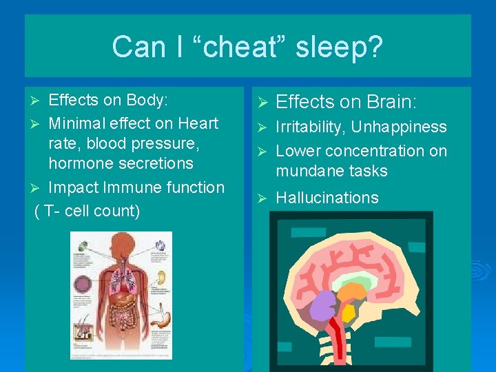 Can I “cheat” sleep? Effects on Body: Ø Minimal effect on Heart rate, blood