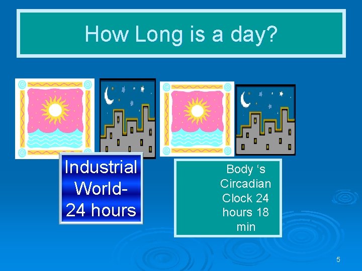 How Long is a day? Industrial World 24 hours Body ‘s Circadian Clock 24