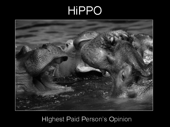 Hi. PPO HIghest Paid Person’s Opinion 