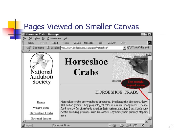 Pages Viewed on Smaller Canvas Text extends beyond screen 15 