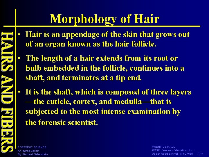 Morphology of Hair • Hair is an appendage of the skin that grows out