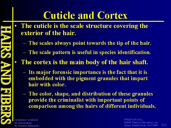 Cuticle and Cortex • The cuticle is the scale structure covering the exterior of