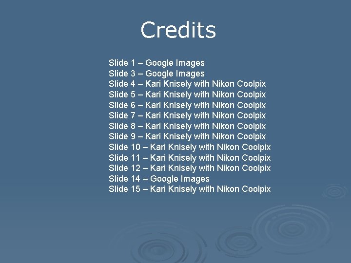 Credits Slide 1 – Google Images Slide 3 – Google Images Slide 4 –