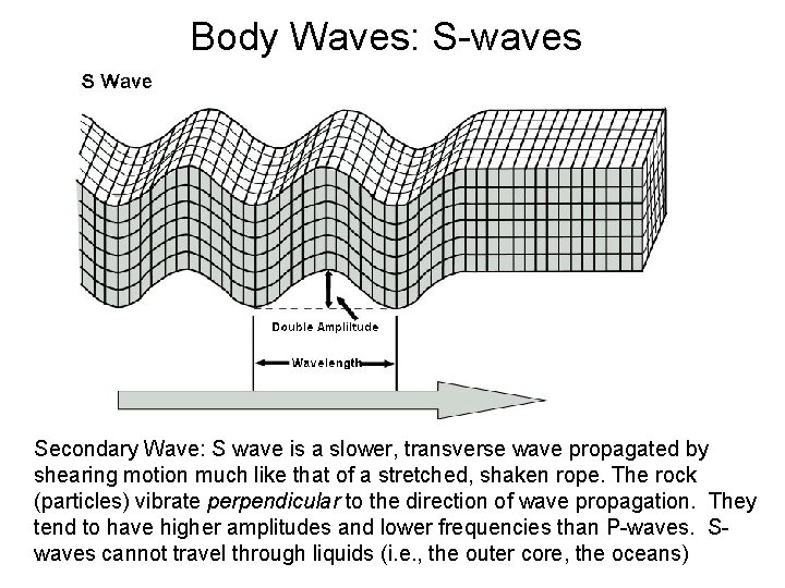 Body Waves: S-waves Secondary Wave: S wave is a slower, transverse wave propagated by