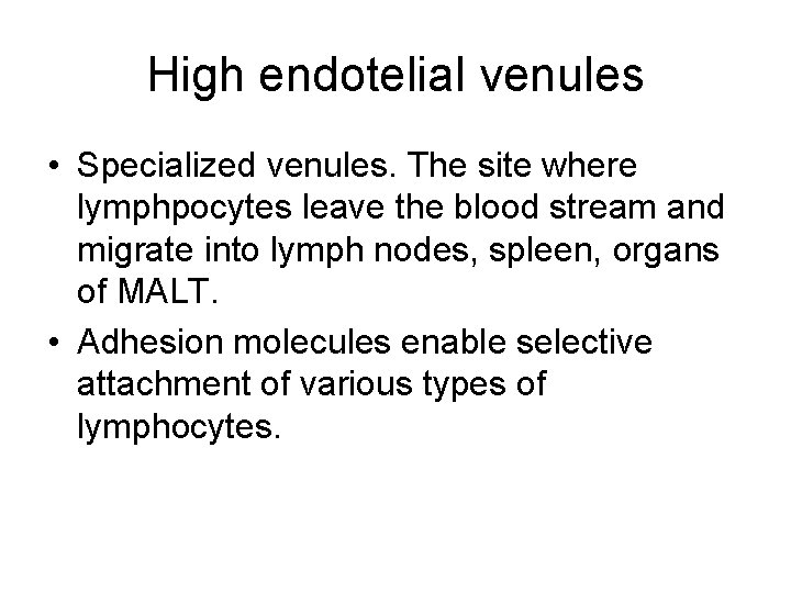 High endotelial venules • Specialized venules. The site where lymphpocytes leave the blood stream