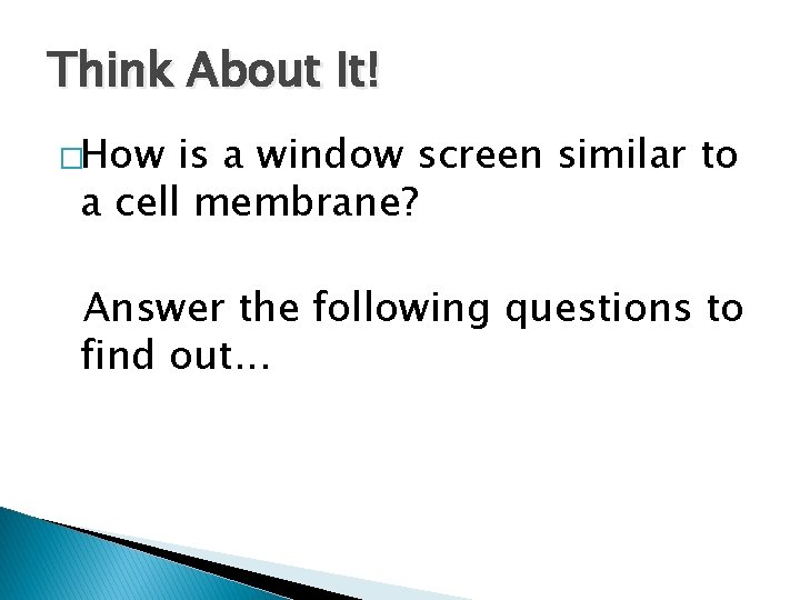 Think About It! �How is a window screen similar to a cell membrane? Answer