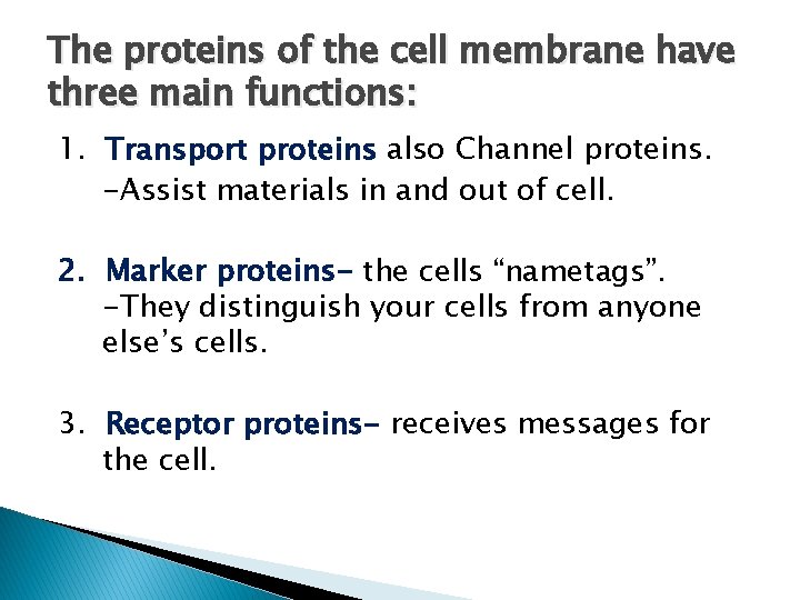 The proteins of the cell membrane have three main functions: 1. Transport proteins also
