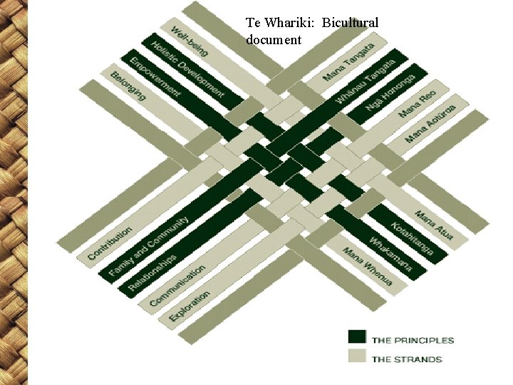 Te Whariki: Bicultural document 
