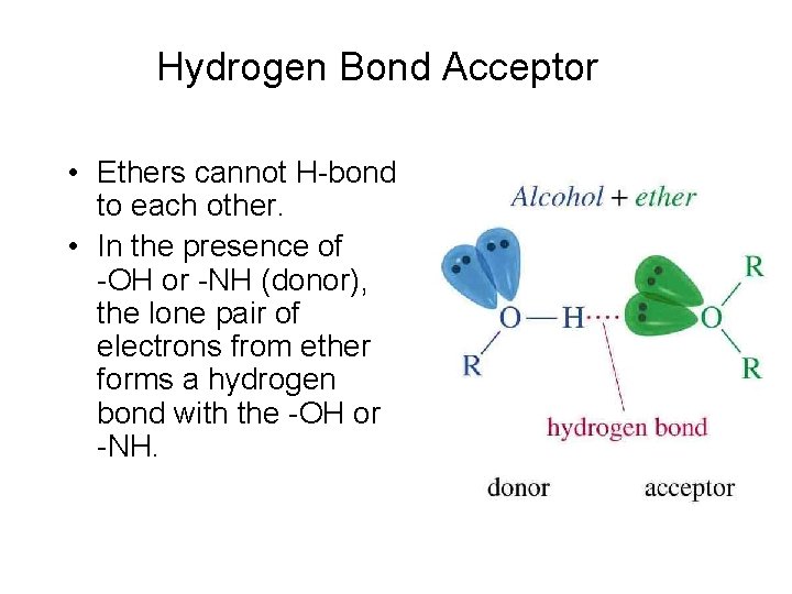 Hydrogen Bond Acceptor • Ethers cannot H-bond to each other. • In the presence