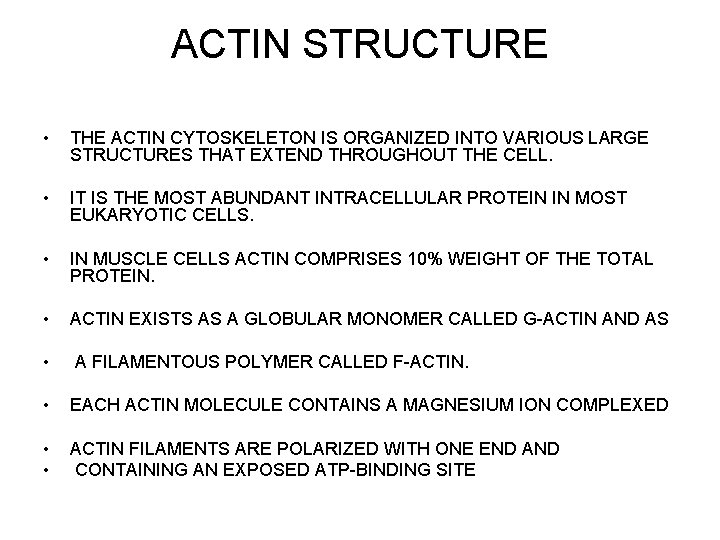 ACTIN STRUCTURE • THE ACTIN CYTOSKELETON IS ORGANIZED INTO VARIOUS LARGE STRUCTURES THAT EXTEND