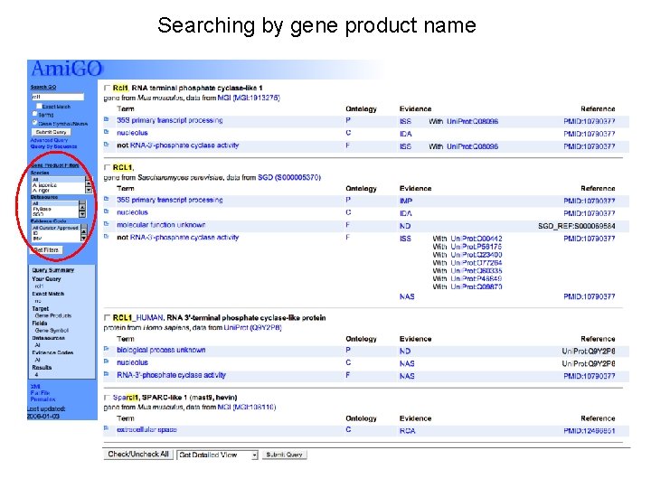 Searching by gene product name 