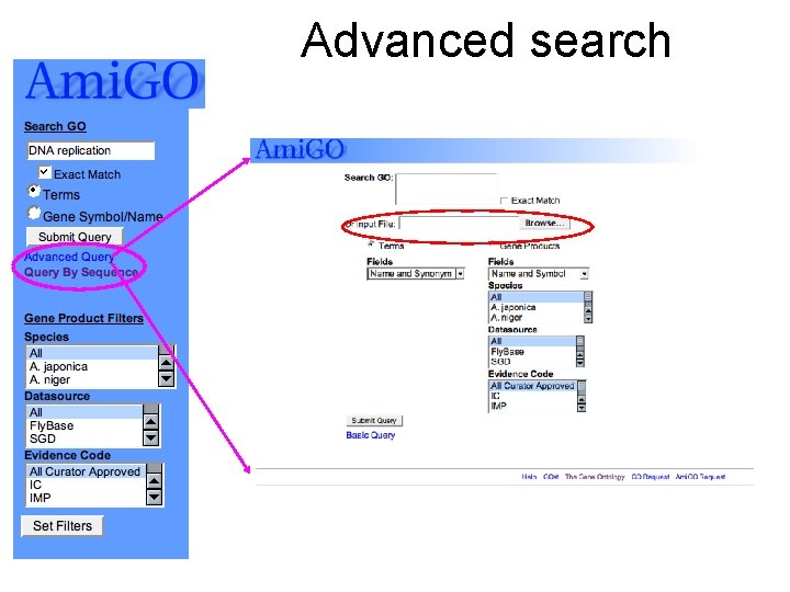 Advanced search 