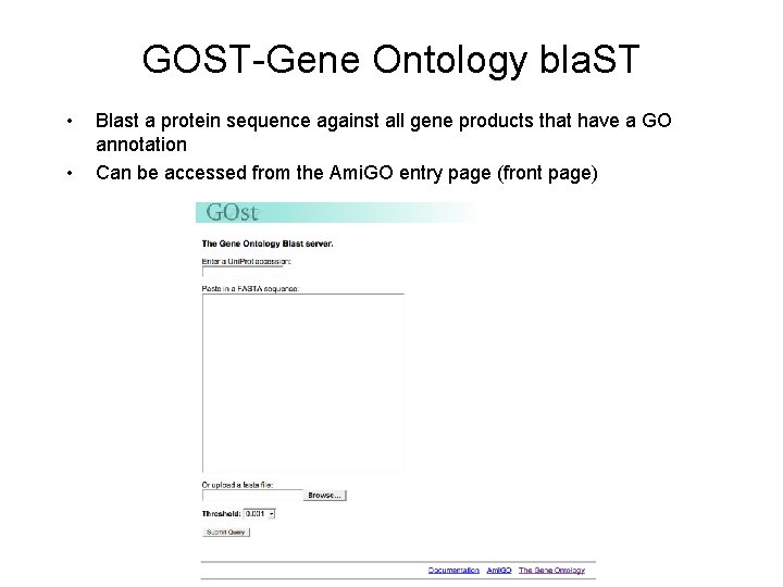 GOST-Gene Ontology bla. ST • • Blast a protein sequence against all gene products