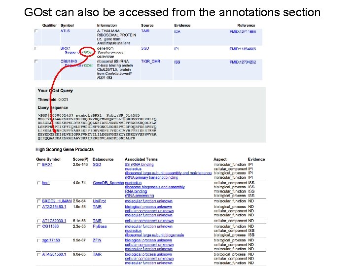 GOst can also be accessed from the annotations section 