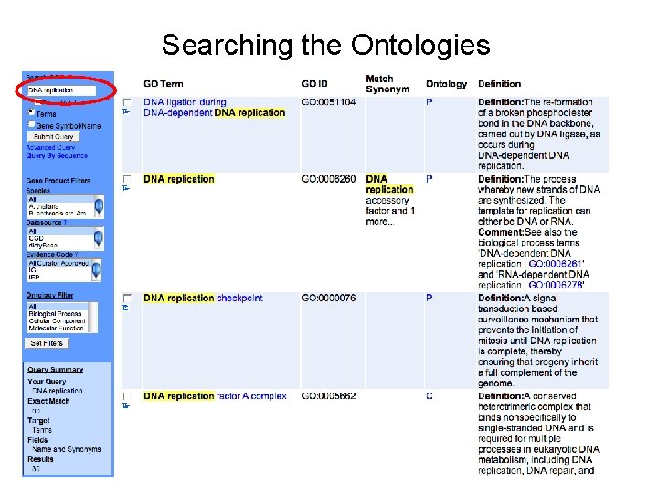 Searching the Ontologies 