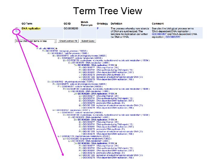 Term Tree View 