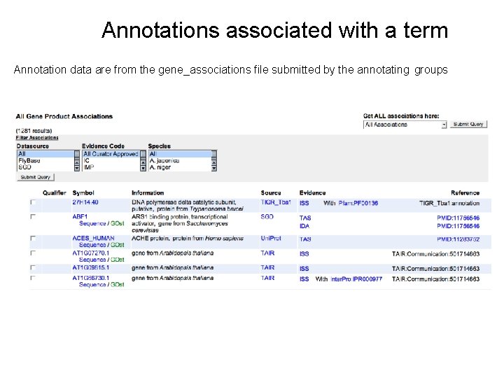 Annotations associated with a term Annotation data are from the gene_associations file submitted by