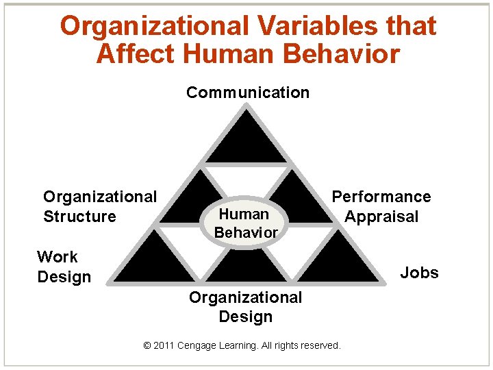 Organizational Variables that Affect Human Behavior Communication Organizational Structure Human Behavior Performance Appraisal Work