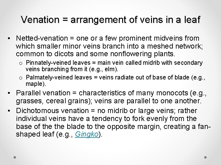 Venation = arrangement of veins in a leaf • Netted-venation = one or a