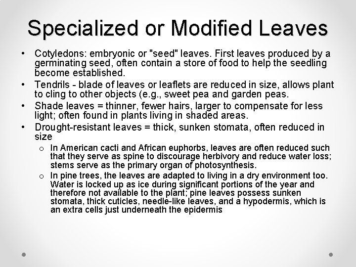 Specialized or Modified Leaves • Cotyledons: embryonic or "seed" leaves. First leaves produced by