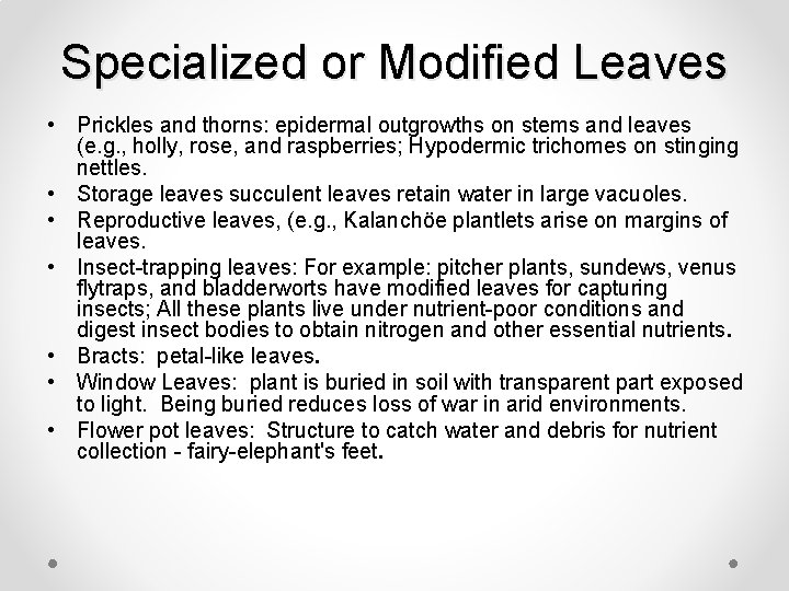 Specialized or Modified Leaves • Prickles and thorns: epidermal outgrowths on stems and leaves