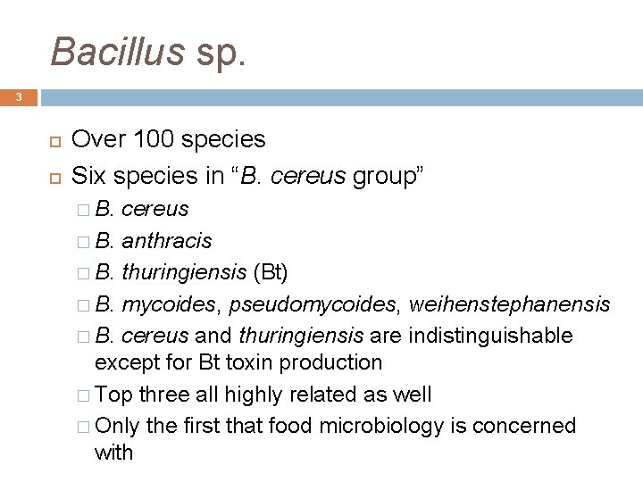 Bacillus sp. 3 Over 100 species Six species in “B. cereus group” � B.