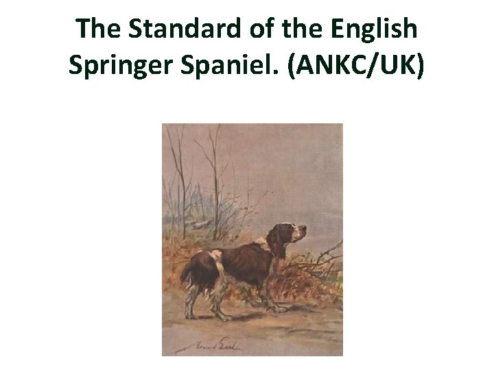The Standard of the English Springer Spaniel. (ANKC/UK) 