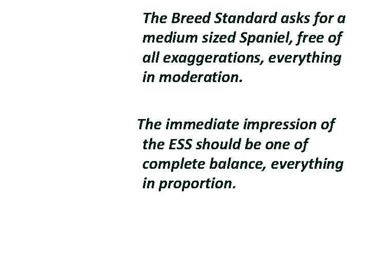 The Breed Standard asks for a medium sized Spaniel, free of all exaggerations, everything