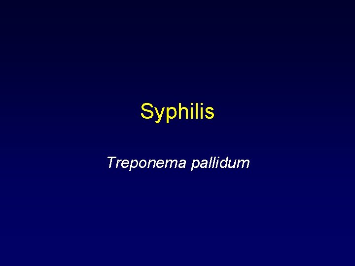 Syphilis Treponema pallidum 