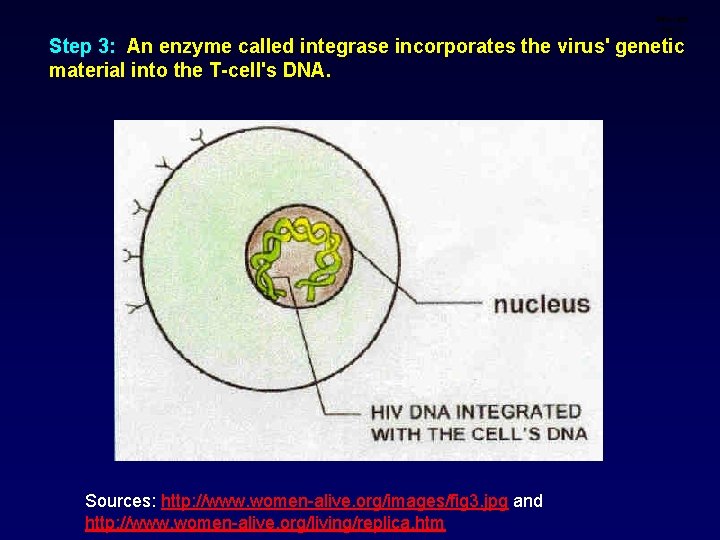 Infection step 3 Step 3: An enzyme called integrase incorporates the virus' genetic material