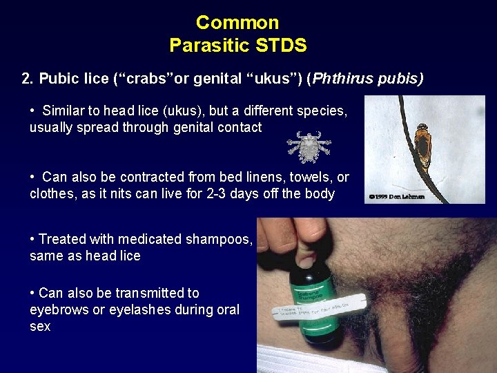 Common Parasitic STDS 2. Pubic lice (“crabs”or genital “ukus”) (Phthirus pubis) • Similar to