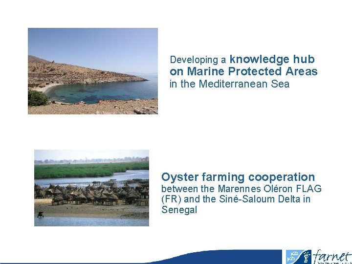 Developing a knowledge hub on Marine Protected Areas in the Mediterranean Sea Oyster farming