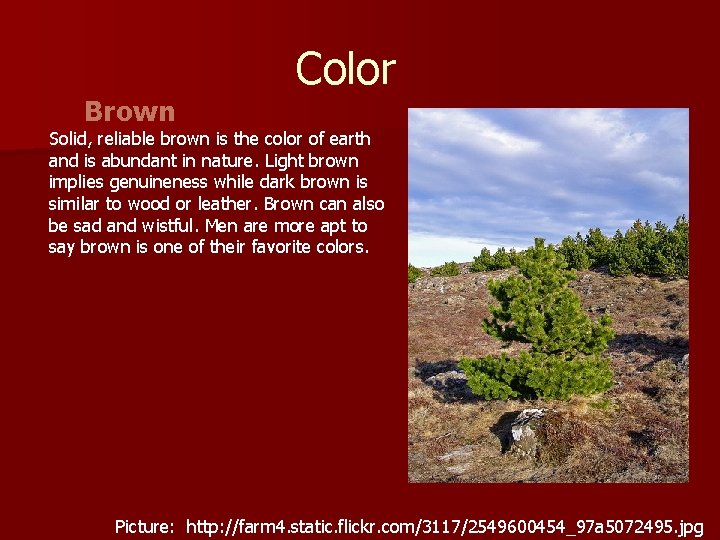  Brown Color Solid, reliable brown is the color of earth and is abundant